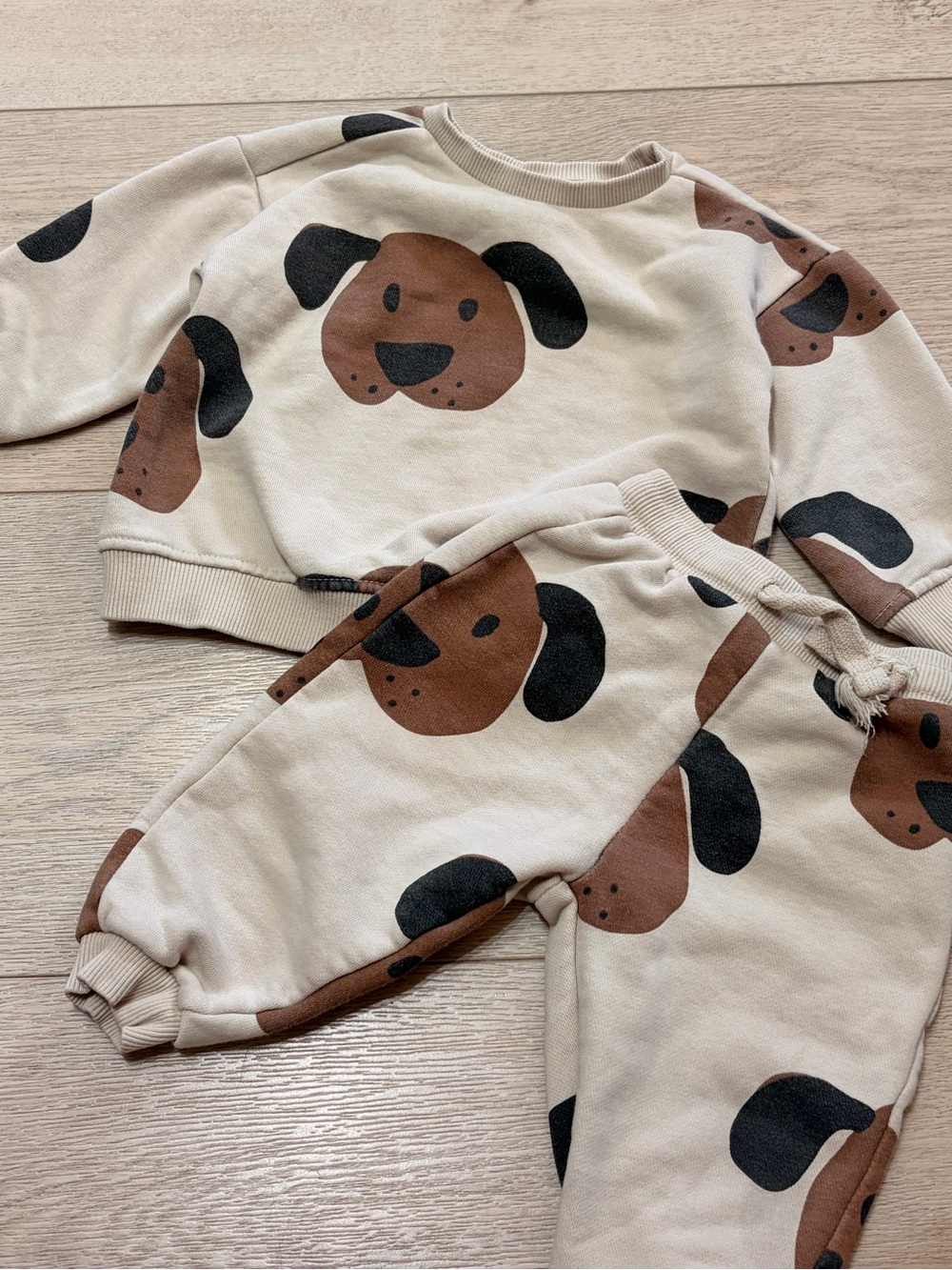 Zara Puppy Cream Sweatshirt & Jogger Set with Brown and Black Dog Print